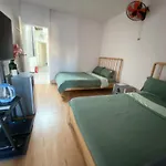 Meow Hotel & Cafe 2